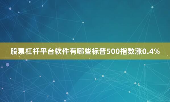 股票杠杆平台软件有哪些标普500指数涨0.4%