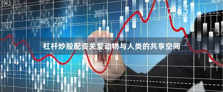 杠杆炒股配资关爱动物与人类的共享空间