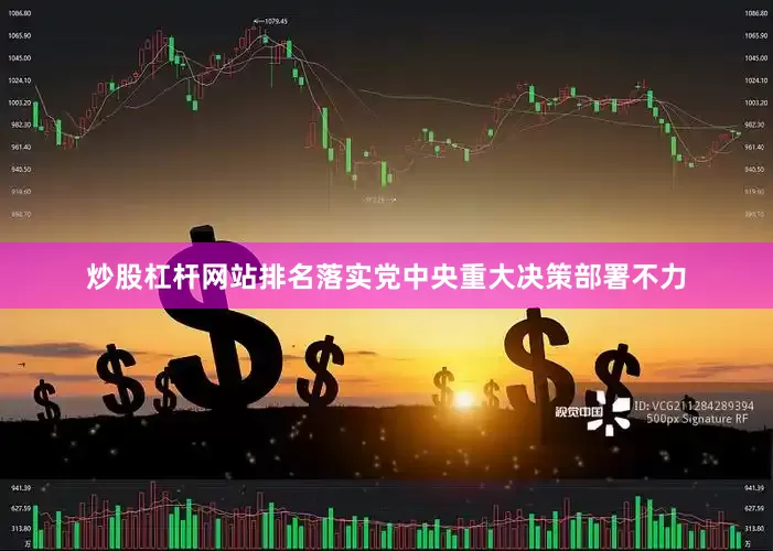 炒股杠杆网站排名落实党中央重大决策部署不力